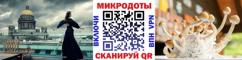 купить наркотик  Гусев  Псилоцибиновые грибы ЛСД 